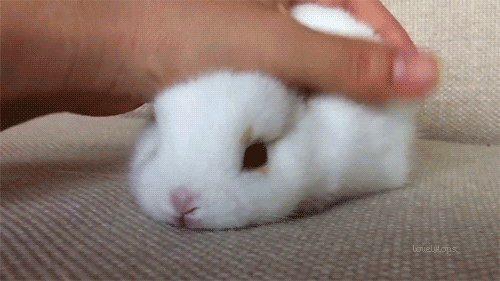 C:\Users\user2\Desktop\giphy (1).gif
