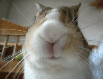C:\Users\user2\Desktop\giphy (2).gif
