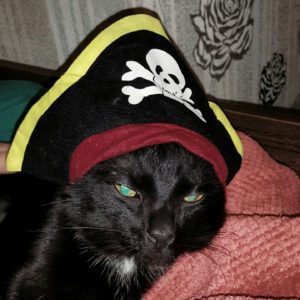 Генератор пиратских имен